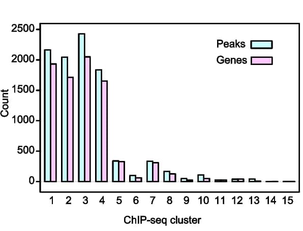 Open access visualization of Bar Plot, Clustered, Peaks, Associated genes, Cclusters