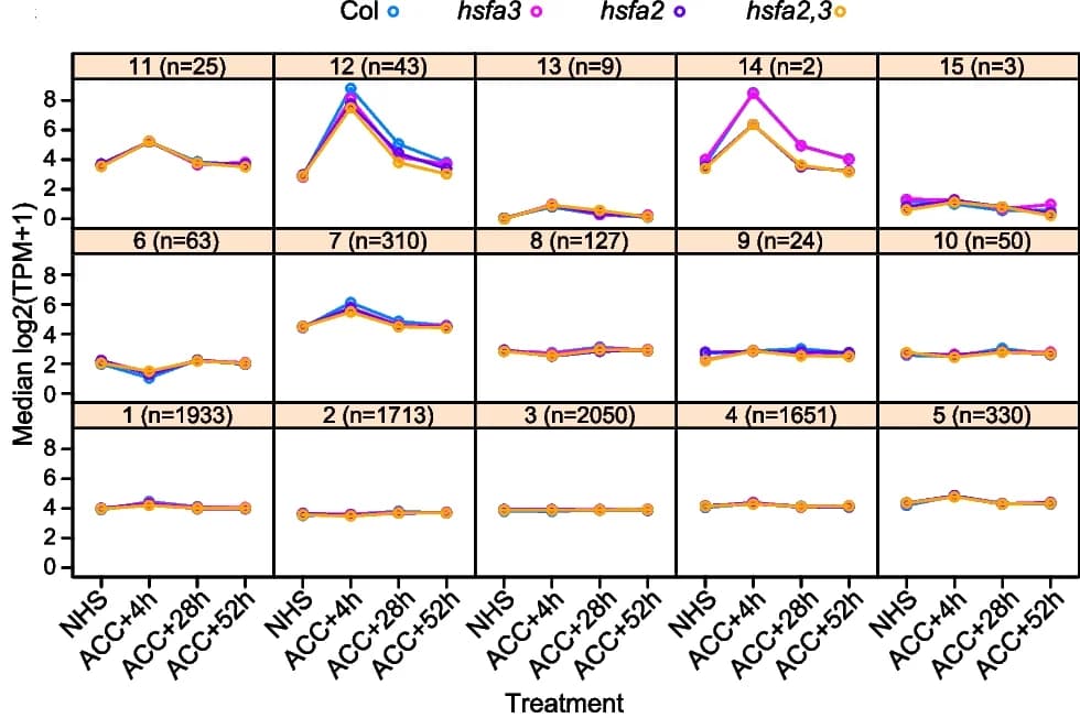Open access visualization of Line Plot, Gene expression, ChIP-seq, Genotypes, HSFA2