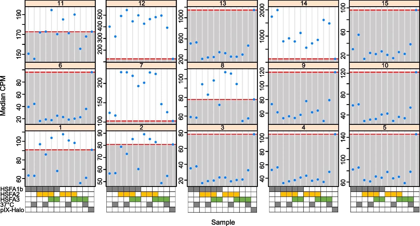 Open access visualization of Scatter Plot, HSFA2, HSFA3, HSFA1b, Genomic DNA