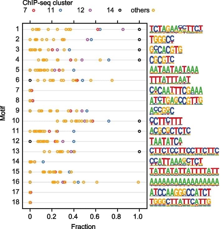 Open access visualization of Scatter Plot, ChIP-seq peaks, De novo motif analysis, HOMER, Motifs