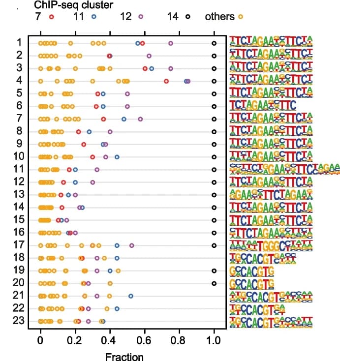 Open access visualization of Scatter Plot, Transcription factor, Binding motif analysis, HOMER, Motifs