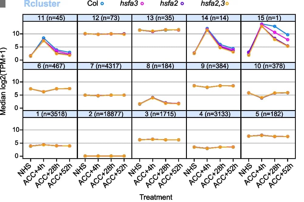 Open access visualization of Line Plot, RNA-seq, Expression Signal, Time Points, TPM