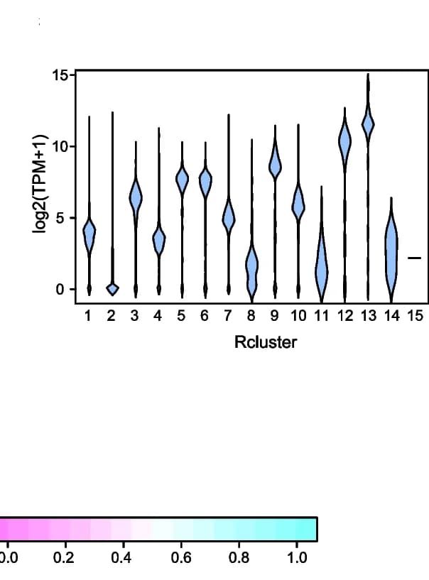 Open access visualization of Violin Plot, Basal Expression, NHS Condition, Rclusters
