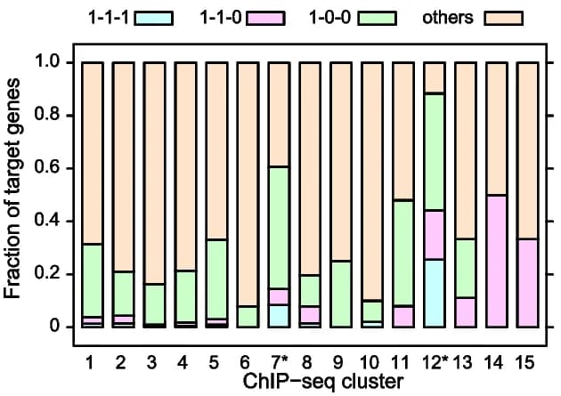 Open access visualization of Stacked Bar Plot, Memory Genes, Cclusters, Gene Enrichment