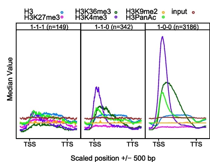 Open access visualization of Line Plot, Genes, Histone Modification, Memory Genes, ChIP-seq