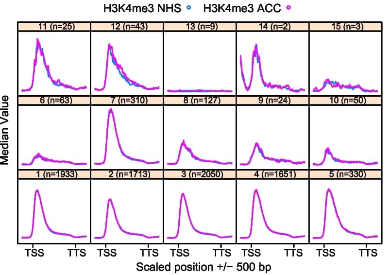 Open access visualization of Line Plot, H3K4me3, NHS, ACC treatment, ccluster-associated genes