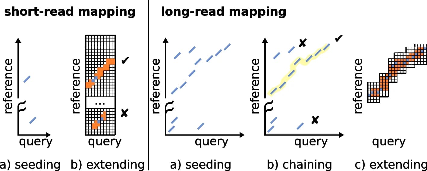 Open access visualization of Workflow, Illustration, Short-read mapping, Long-read mapping, Read mapping