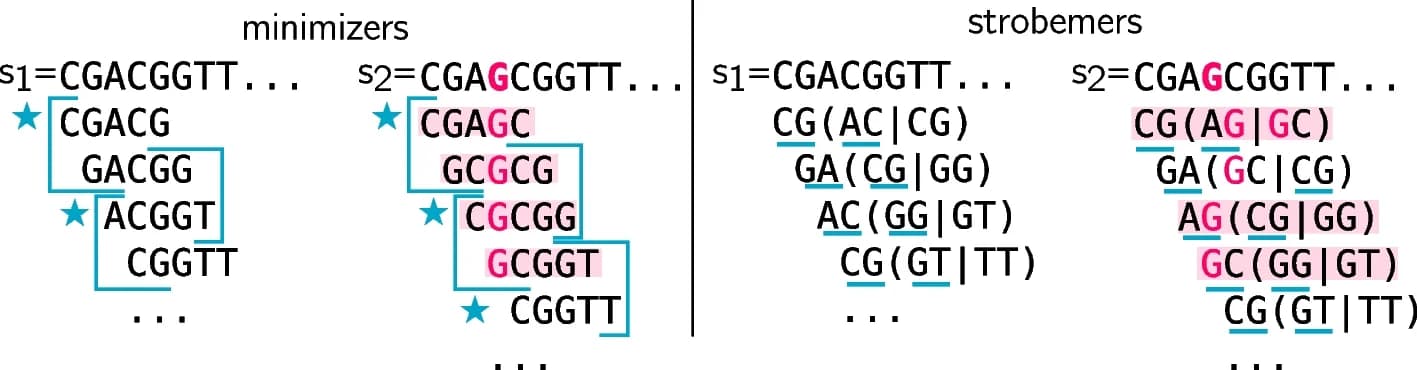 Open access visualization of Workflow, Flowchart, Illustration, Strobemers, Indels
