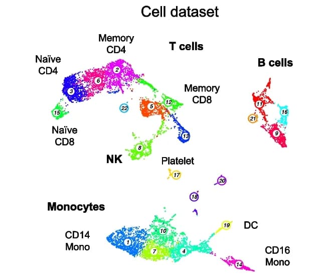 Open access visualization of Scatter Plot, UMAP, PCA, Cellular Noise, Single-Cell Dataset
