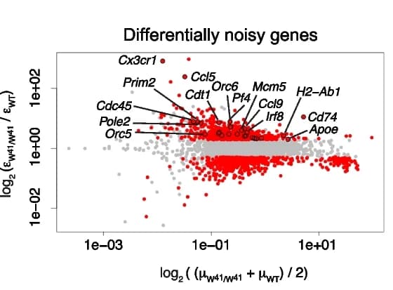 Open access visualization of Scatter Plot, Volcano Plot, Differentially Noisy Genes, LT-HSC Populations, W 41/W 41 Mice