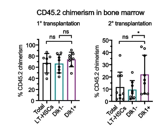 Open access visualization of Bar Plot, Error Bars, Scatter Plot, CD45.2 Chimerism, Bone Marrow