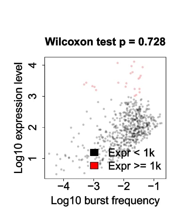 Open access visualization of Scatter Plot, Volcano Plot, Observable Data, Bursting Parameter, Spearman’s Rank Correlation