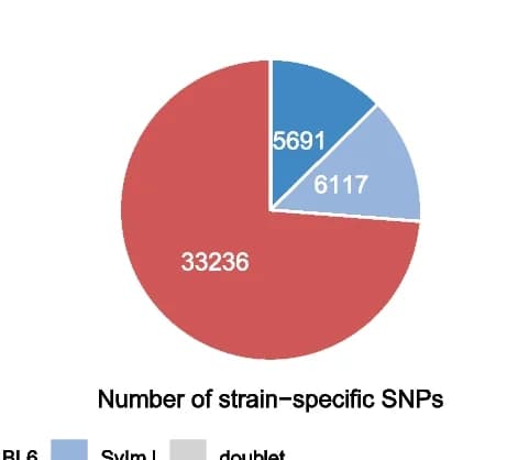 Open access visualization of Pie Chart, Homozygous SNPs, Coverage, UMIs, Strains