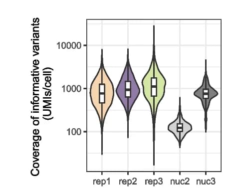Open access visualization of Violin Plot, Box Plot, Cell Coverage, M. m. castaneus, Informative Variants