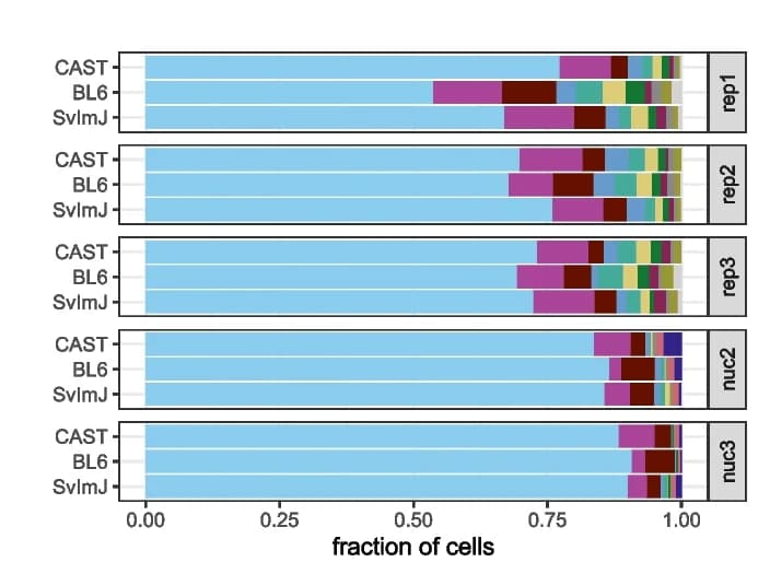 Open access visualization of Stacked Bar Plot, Cell Type Composition, Replicates, Strains, Reference-based Classification