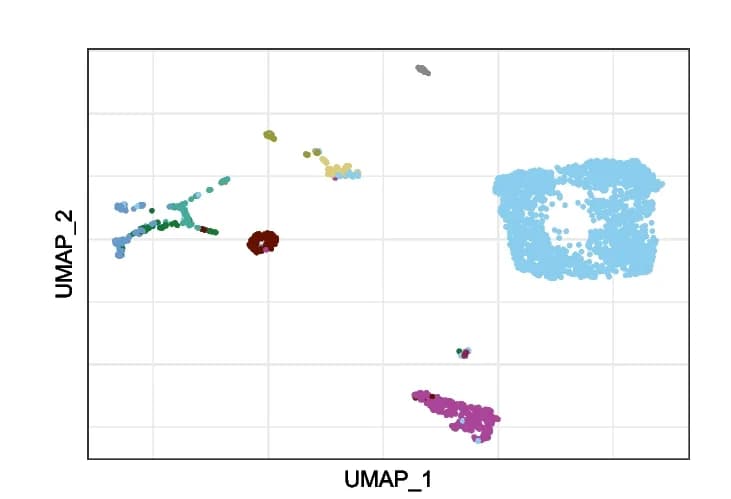 Open access visualization of Scatter Plot, UMAP, UMAP Visualization, M. m. castaneus, Cell Type