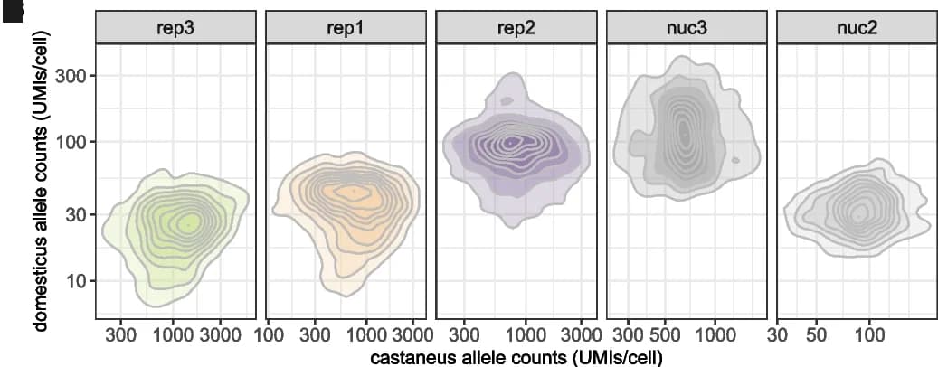 Open access visualization of Density Plot, Alleles, Background Noise, Cells