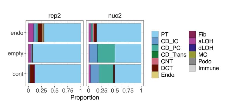 Open access visualization of Stacked Bar Plot, Cell Type Contributions, Pseudobulk Profile, Stacked Barplots, Single Cell Data