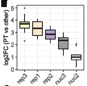 Open access visualization of Box Plot, Replicates, Log2 Fold Changes, Proximal Tubule, Marker Genes