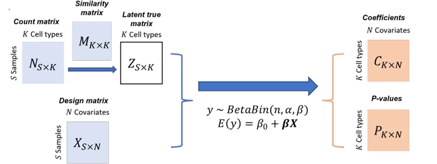Open access visualization of Workflow, Flowchart, DCATS workflow, Bias correction, Similarity matrix