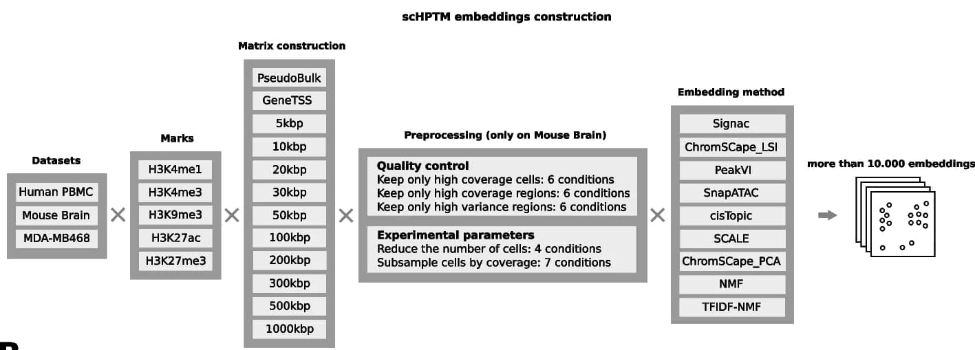 Open access visualization of Workflow, Flowchart, Count Matrix, Bin Sizes, GeneTSS Annotation