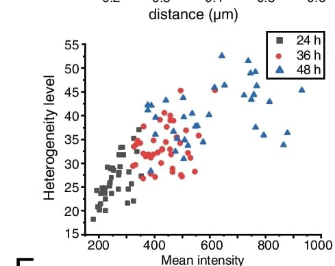 Open access visualization of Scatter Plot, Plots, Mean Intensity, Heterogenetic Level, RAD21