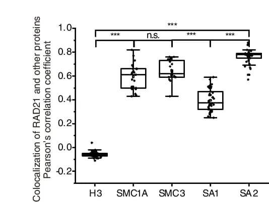 Open access visualization of Box Plot, Scatter Plot, Colocalization Analysis, Vermicelli, Protein
