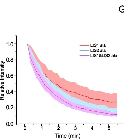 Open access visualization of Line Plot, Error Bars, Fluorescence Signals, iFRAP Assay, HeLa Cells