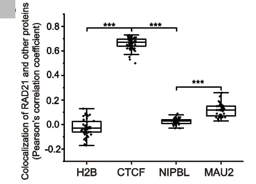 Open access visualization of Box Plot, Scatter Plot, Co-localization analysis, Vermicelli, Protein