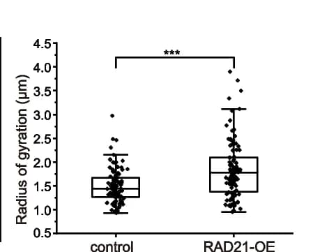 Open access visualization of Box Plot, Scatter Plot, Quantification, Morphology change, CT2