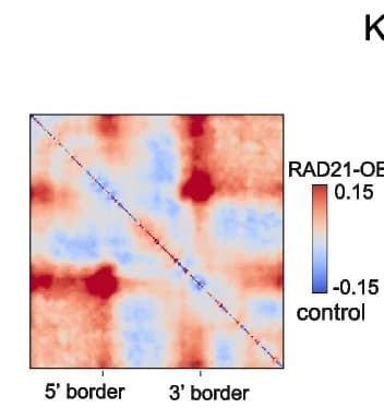 Open access visualization of Heatmap, Aggregate TAD Analysis, Hi-C, TADs, RAD21 Over-expression