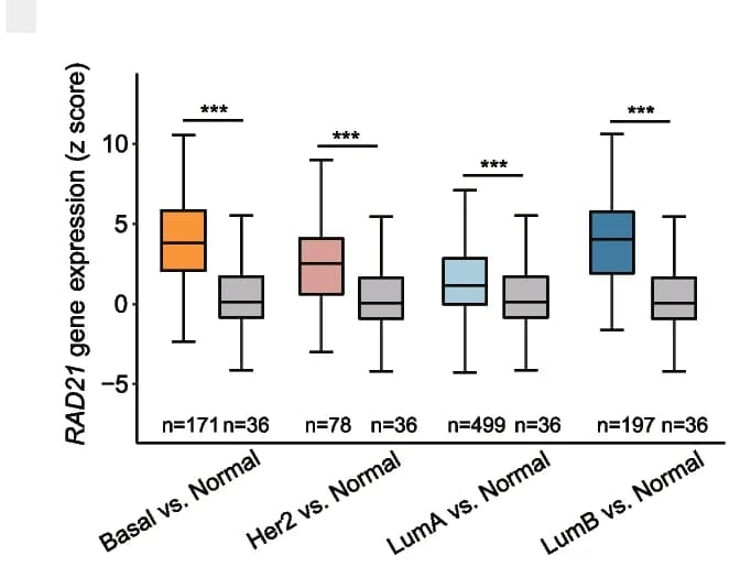 Open access visualization of Box Plot, Gene Expression, RAD21, Breast Cancer, Normal Samples