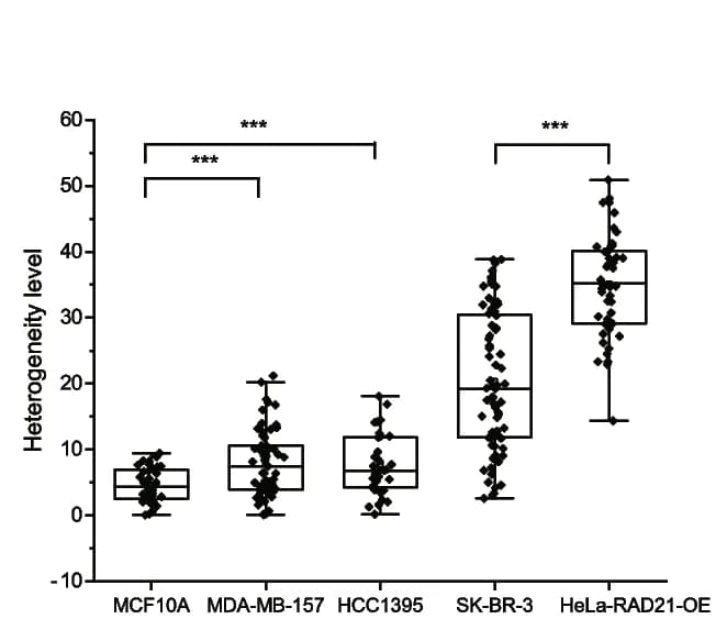 Open access visualization of Box Plot, Scatter Plot, RAD21 Clustering, Heterogenetic Level, Cell Quantification