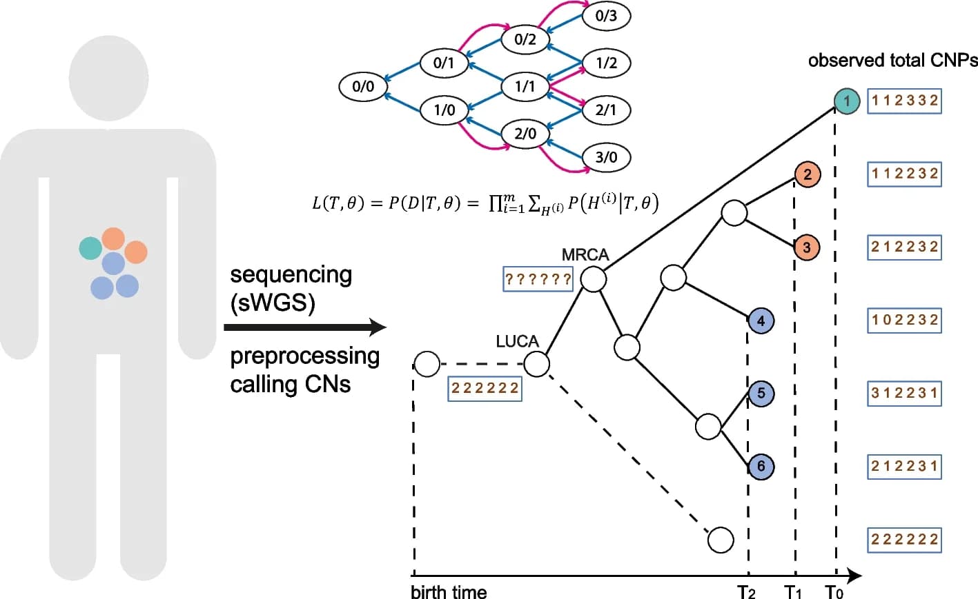 Open access visualization of Workflow, Flowchart, Illustration, Network, CNETML