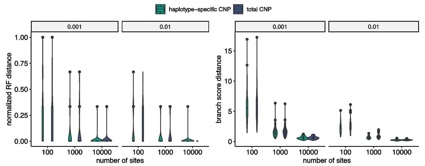 Open access visualization of Violin Plot, Phylogeny Inference, Mutation Rate, RF Distance, Branch Score Distance