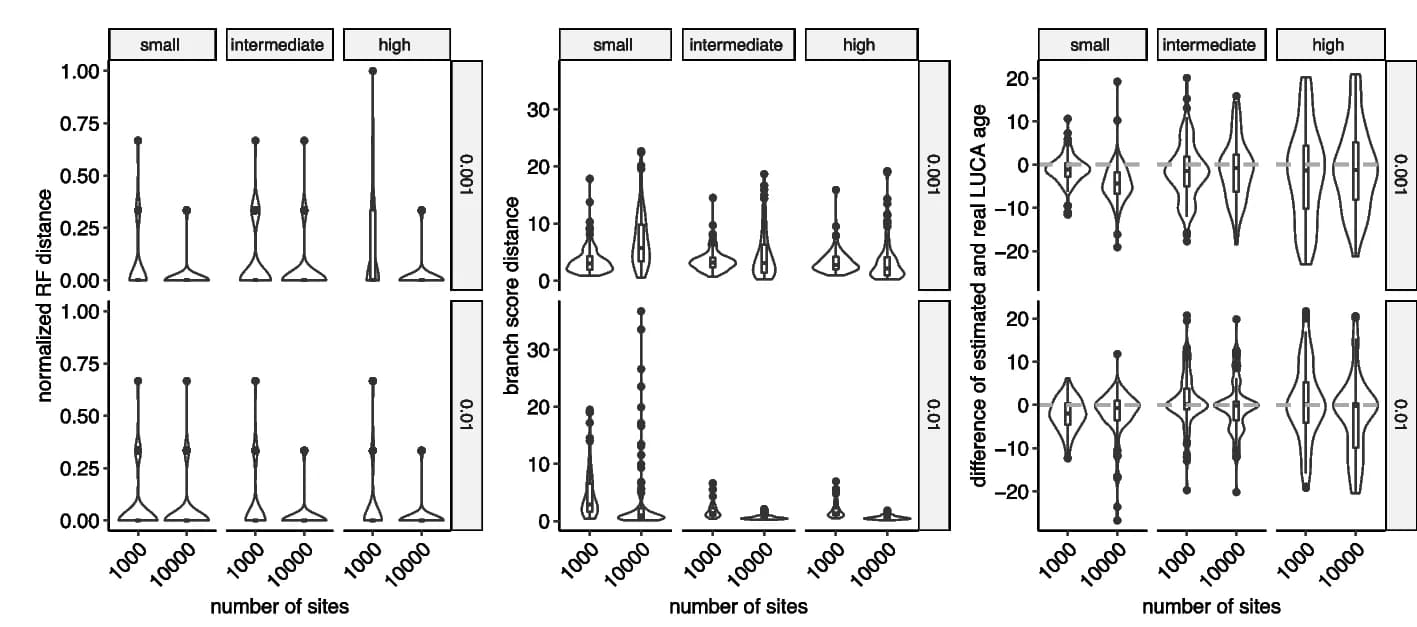 Open access visualization of Violin Plot, Box Plot, Scatter Plot, Phylogeny Inference, RF Distance
