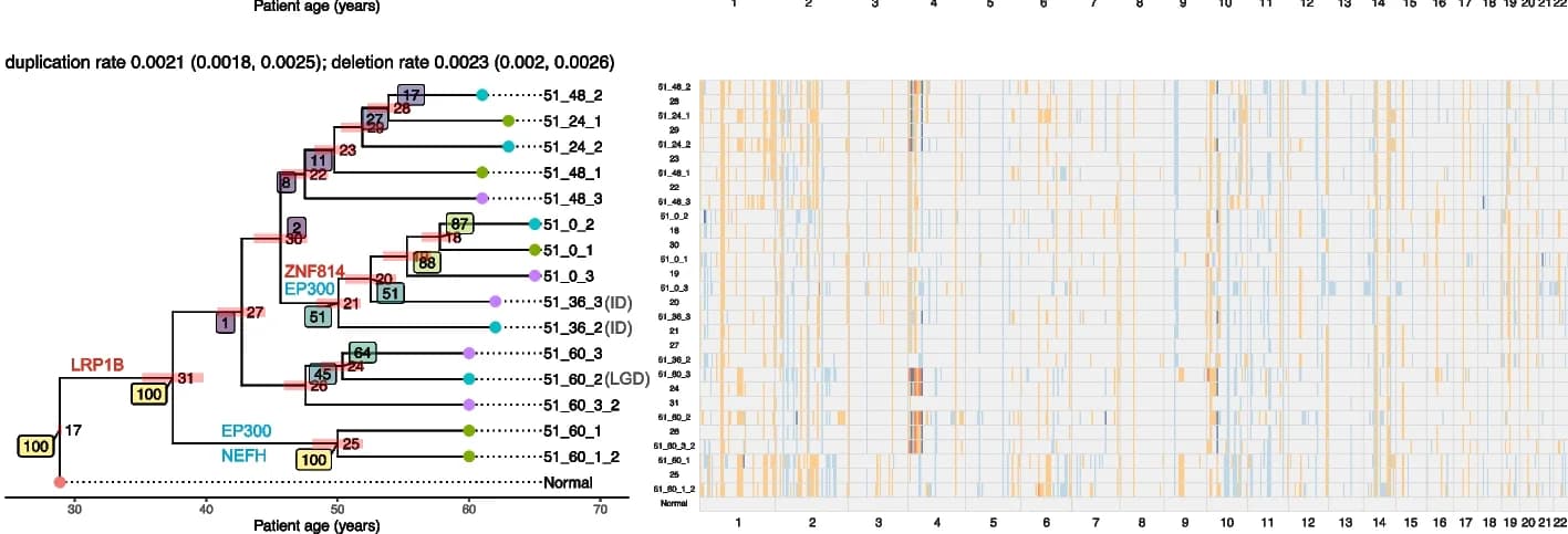 Open access visualization of Heatmap, Line Plot, Network, ML trees, Ancestral states