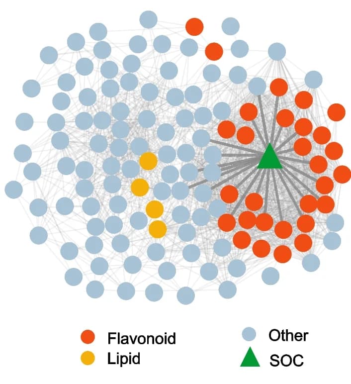 Open access visualization of Network, Pathway, Metabolites, SOC
