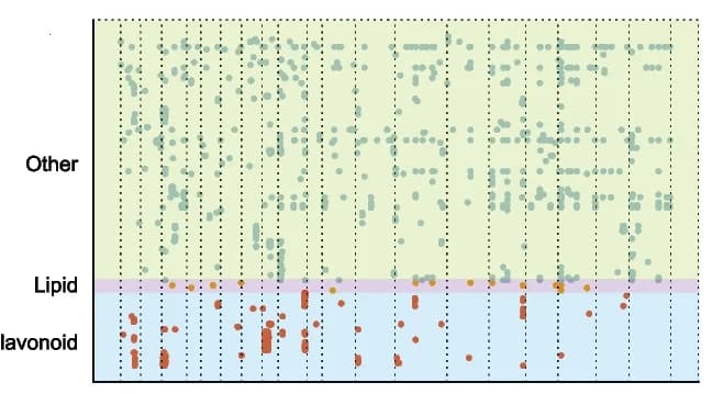 Open access visualization of Scatter Plot, SNPs, SOC-correlated metabolites, Chromosomal distribution