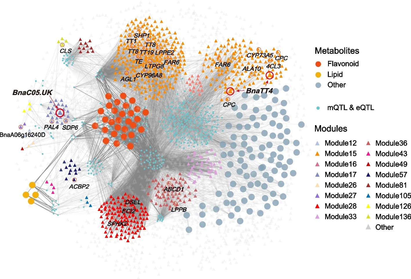 Open access visualization of Network, Pathway, SOC, Metabolites, Genes