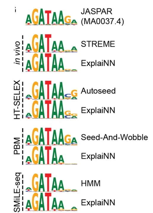 Open access visualization of Illustration, PWM, Transcription Factor