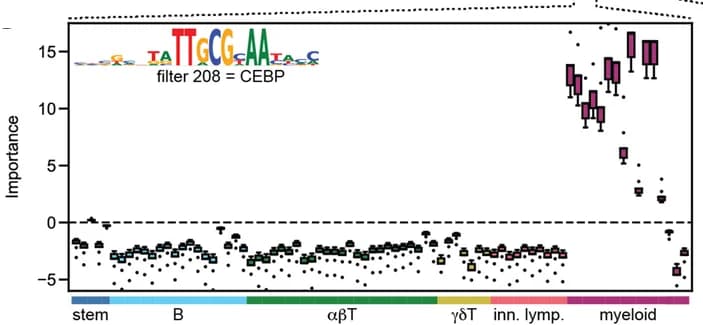 Open access visualization of Box Plot, Scatter Plot, Importance scores, CEBP, PAX