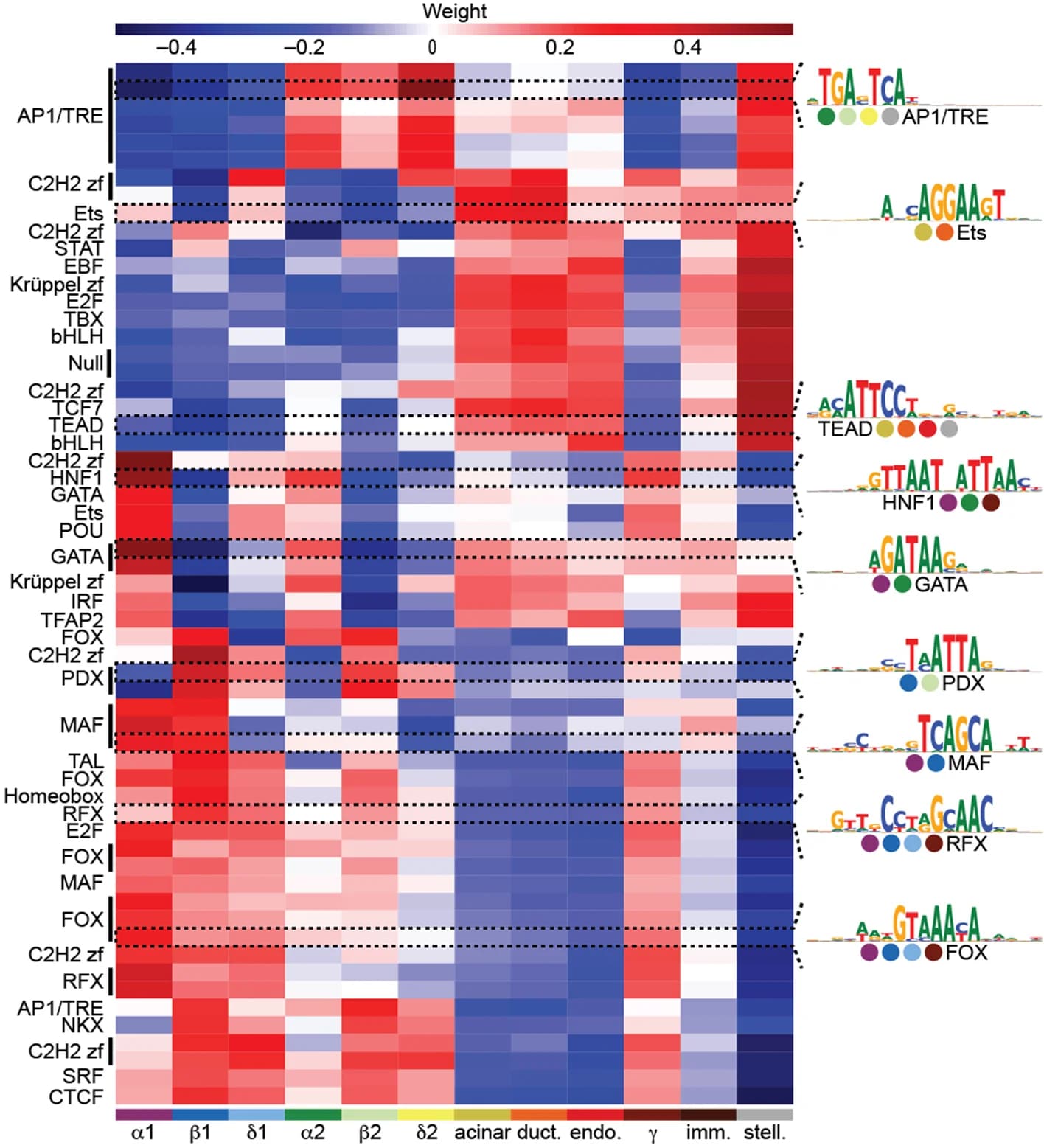 Open access visualization of Heatmap, ExplainNN model, Open Chromatin Regions, Single-cell ATAC-seq, Transcription Factor