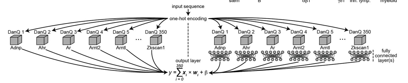 Open access visualization of Workflow, Illustration, Transfer Learning, ExplaiNN units, DanQ models