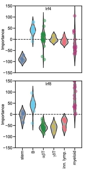 Open access visualization of Violin Plot, Scatter Plot, Transfer Learning, ExplaiNN model, AI-TAC dataset