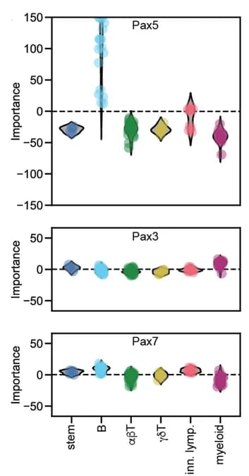 Open access visualization of Violin Plot, Scatter Plot, Unit Importance, DanQ models, IRF