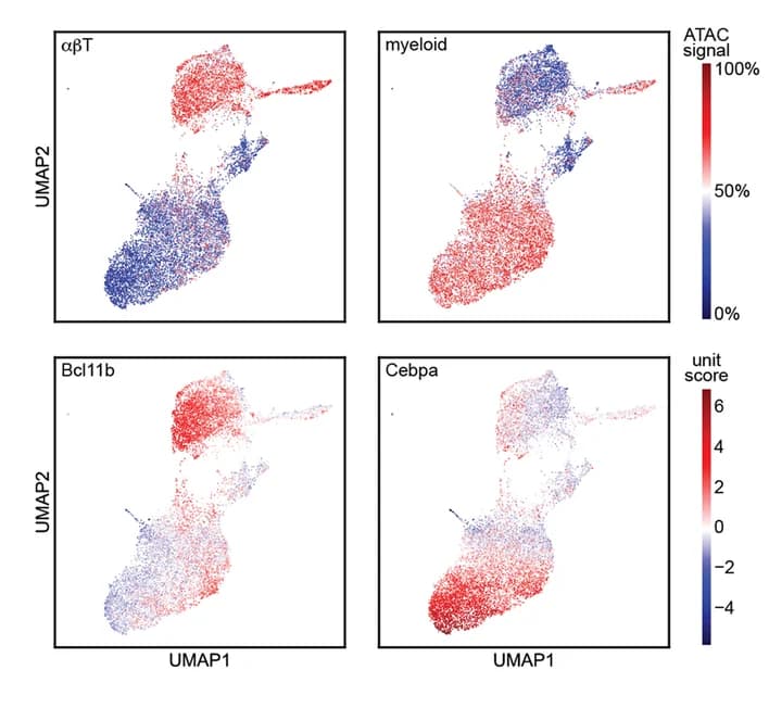 Open access visualization of Scatter Plot, UMAP, Transfer Learning, DanQ Model, OCRs
