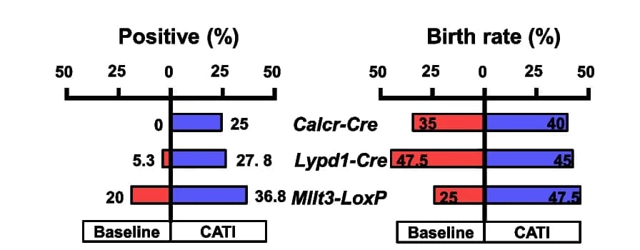 Open access visualization of Bar Plot, Targeting Efficiency, Birth Rate, Cre, LoxP