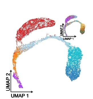 Open access visualization of UMAP, Latent Representations, scTour, Cell Types, Sample Batches