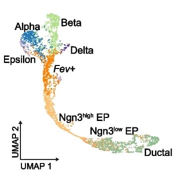 Open access visualization of Scatter Plot, UMAP, Latent Space, Cell Types, Pseudotime